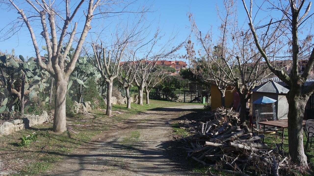 サンテウフェミア・ラメーツィア Agriturismo Masseria I Risiゲストハウス エクステリア 写真