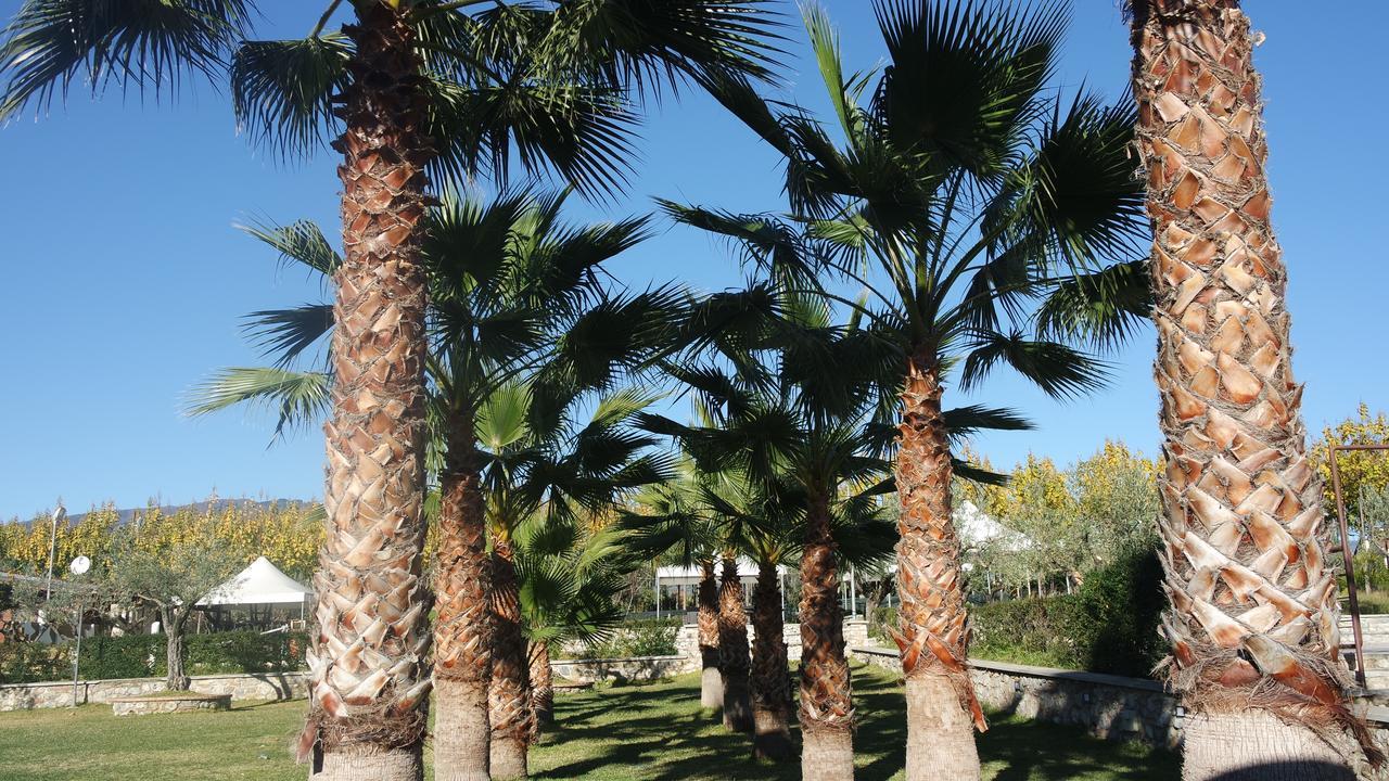 サンテウフェミア・ラメーツィア Agriturismo Masseria I Risiゲストハウス エクステリア 写真
