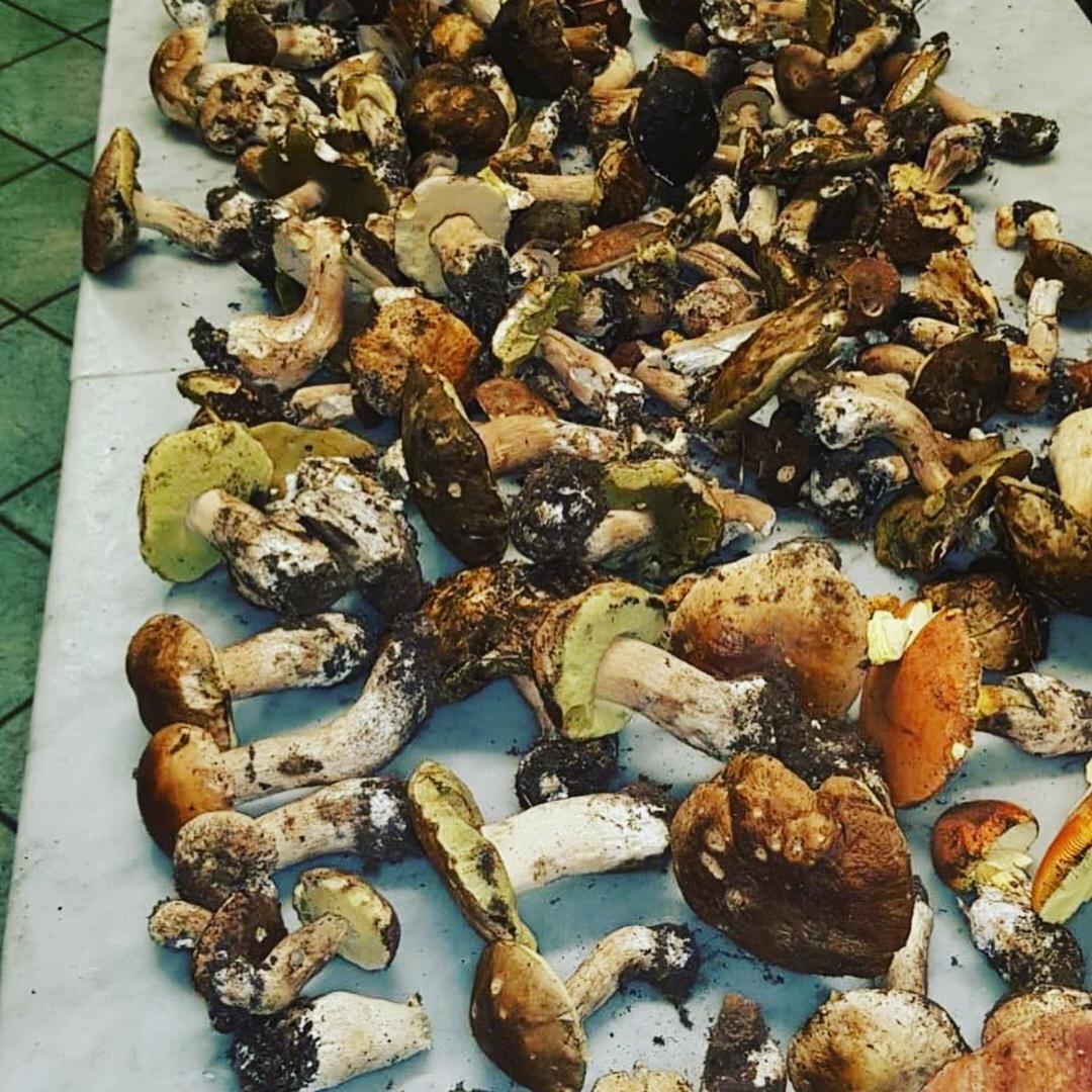 サンテウフェミア・ラメーツィア Agriturismo Masseria I Risiゲストハウス エクステリア 写真