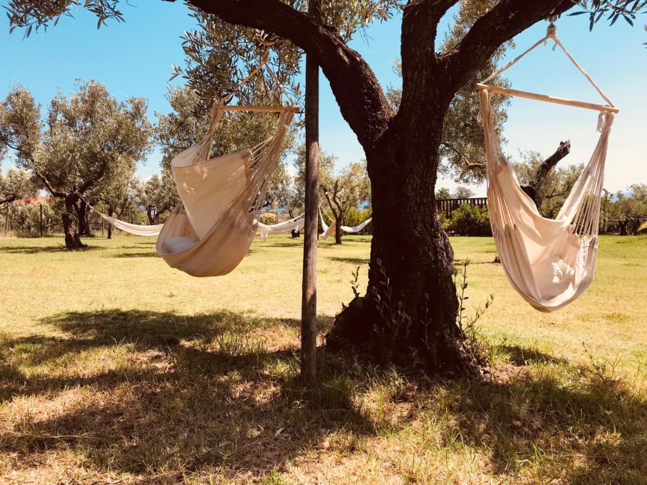 サンテウフェミア・ラメーツィア Agriturismo Masseria I Risiゲストハウス エクステリア 写真