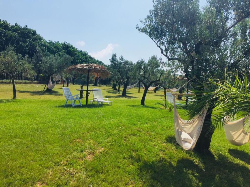 サンテウフェミア・ラメーツィア Agriturismo Masseria I Risiゲストハウス エクステリア 写真